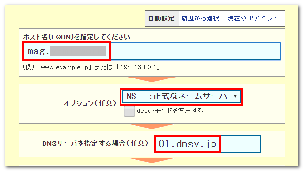 01 dnsv jp とは